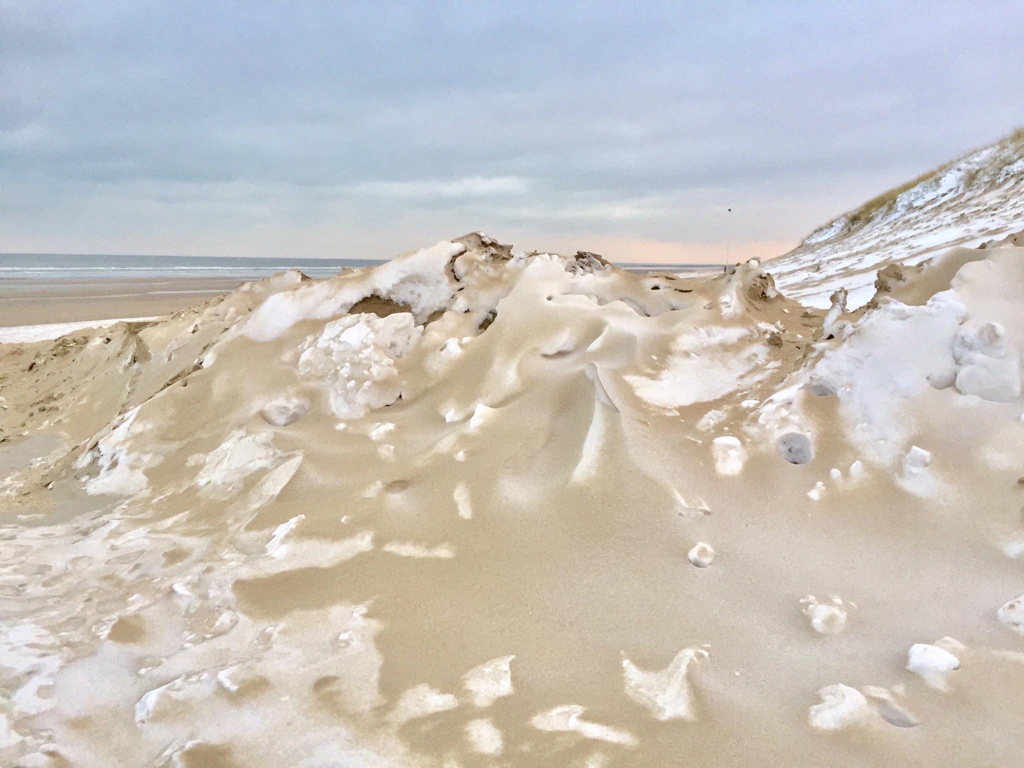 There was no trace of humans over the snowed-up beach