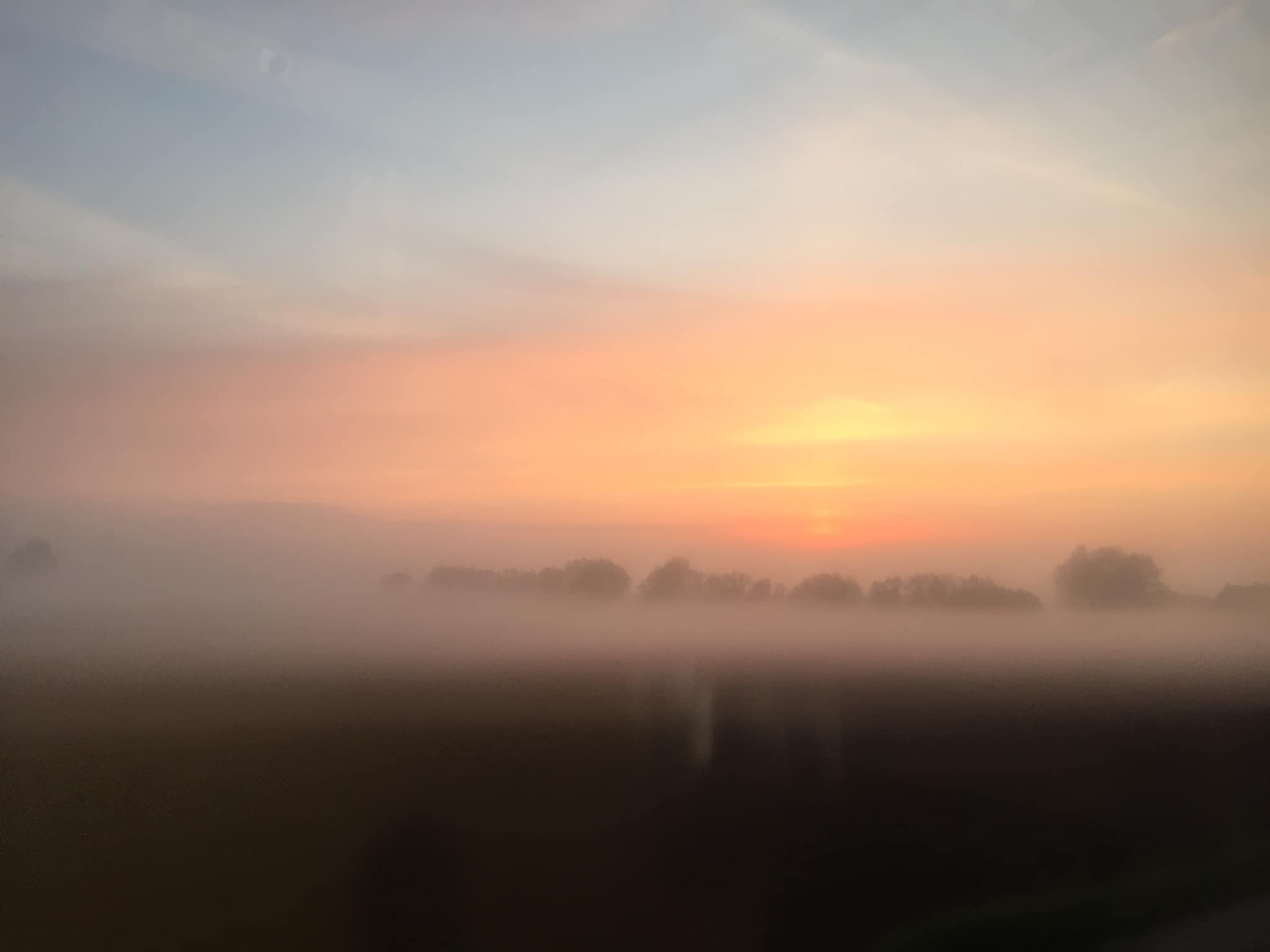 The brushwork of the Flemish fog